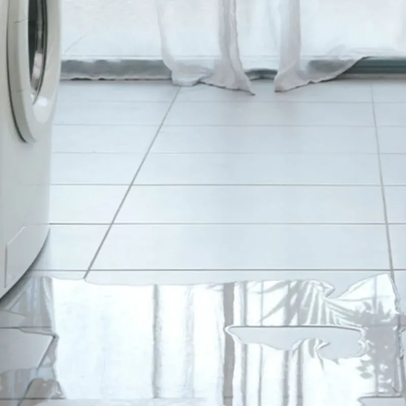 Appliance Leak Cleanup in Mahaska County, IA