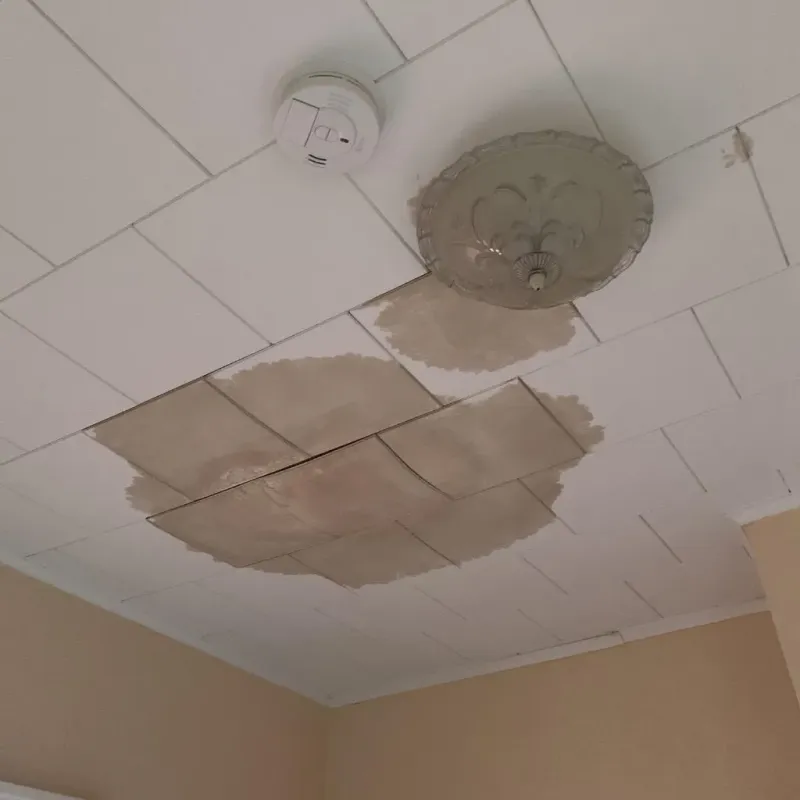 Ceiling Water Damage Repair in Mahaska County, IA