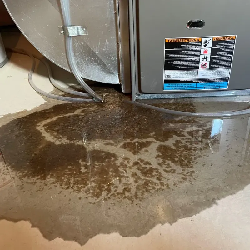 Pipe Burst and Leak Restoration in Mahaska County, IA