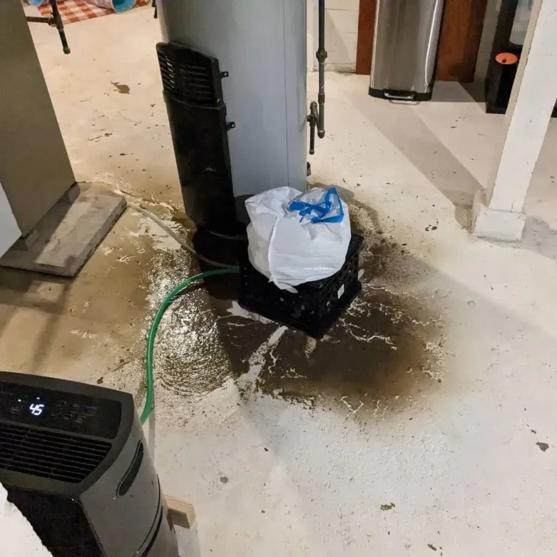 Sewage Backup Cleanup Service in Mahaska County, IA